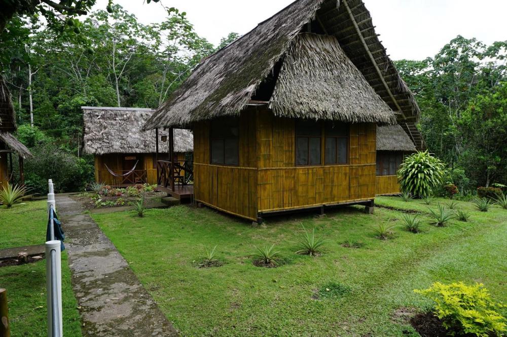 Yarina Eco Lodge Yarina Eco Lodge