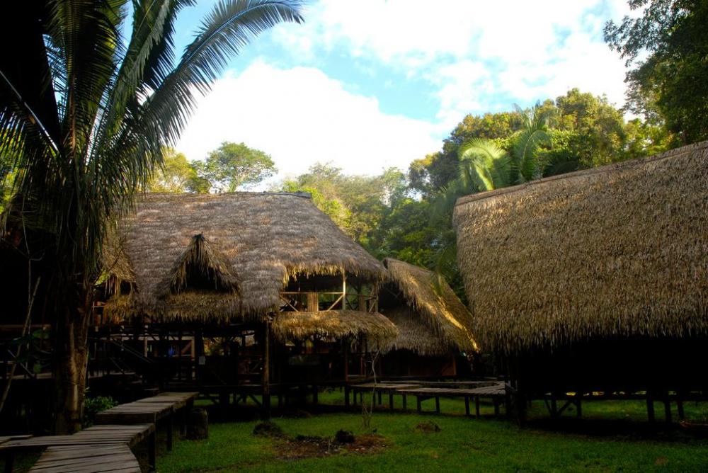 Yarina Eco Lodge Yarina Eco Lodge