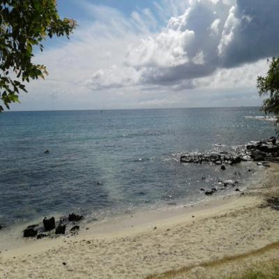 Spiaggia Image
