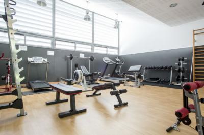 Palestra Image